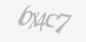 Защитный код