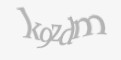 Защитный код