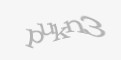 Защитный код