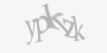 Защитный код