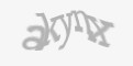 Защитный код