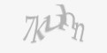 Защитный код