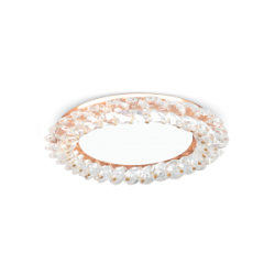 02f553c8ffe0715008a0b2d770ec11ca