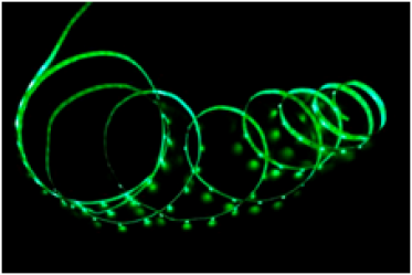 b6c7fdd19d39089026c4f6d873e9d81b