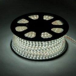 loupe_07_26249_26256